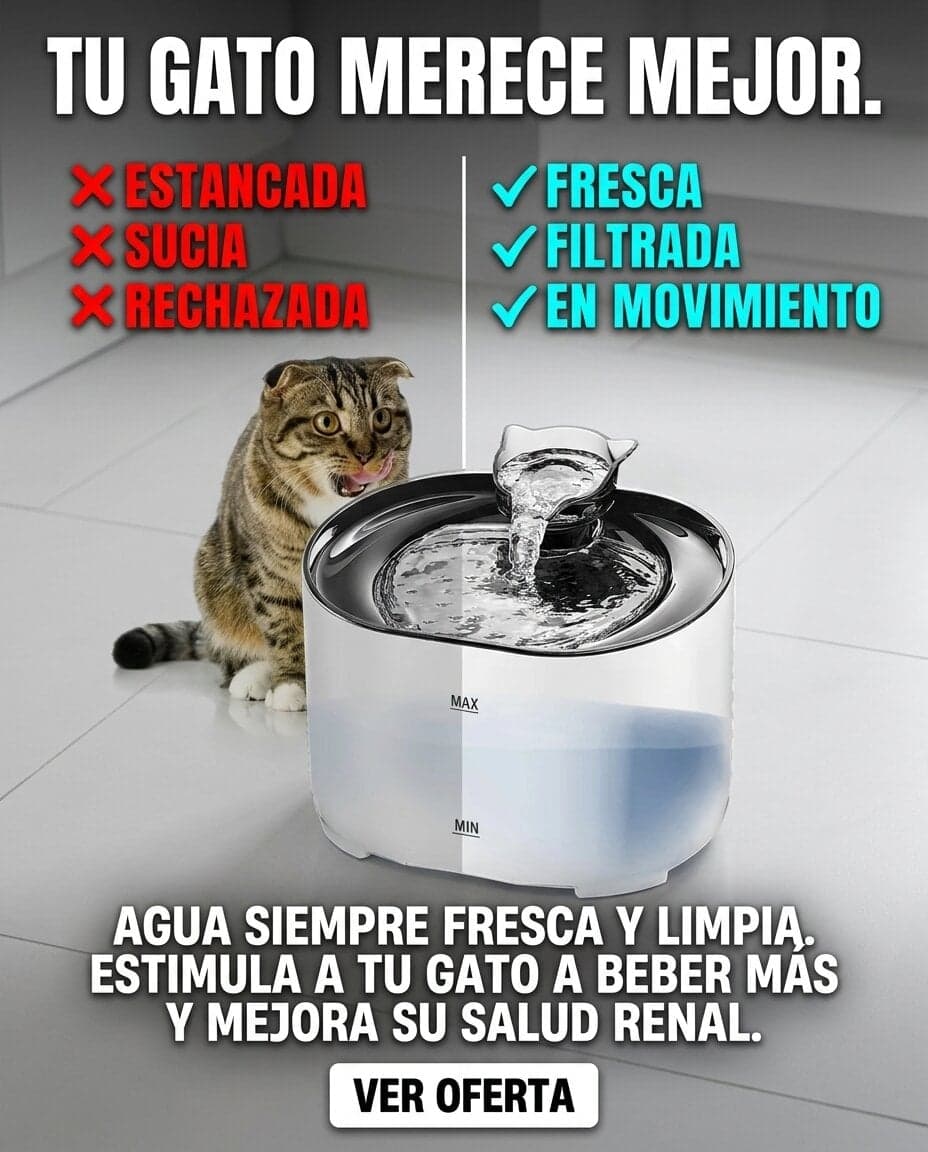 Ejemplo de anuncio